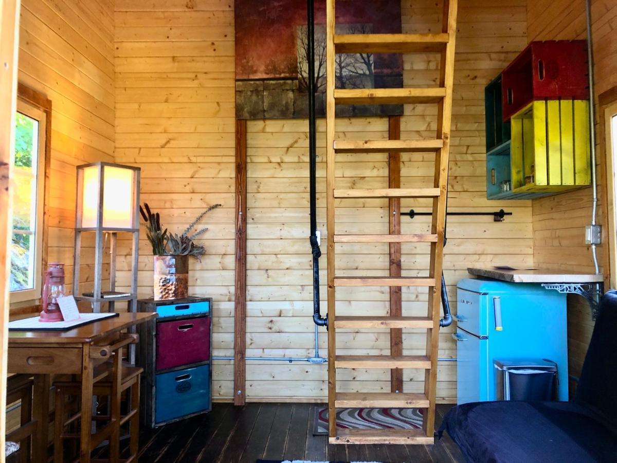 Boho Campsite Nelson